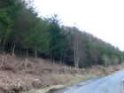 Photo 6X4 Coed Blaen Y Coed Ysbyty Ifan Woodland To The West Of Ysbyty If C2009