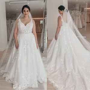 Plus Size V Neck Wedding Dresses with Sweep Train Lace Appliques Bridal Gowns - Picture 1 of 3