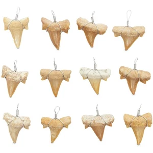 12 Pack Shark Teeth Necklace Pendants for DIY Crafts (0.787 x 0.98 In) - Picture 1 of 5