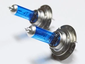 10x H7 24V 70W Xenon White 5000k Halogen Blue Truck Headlight Lamp Globes Bulbs - Picture 1 of 6