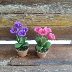Primula rosa viola casa delle bambole argilla fiori miniatura in vasi di terracotta decorazione  - Foto 1 di 6