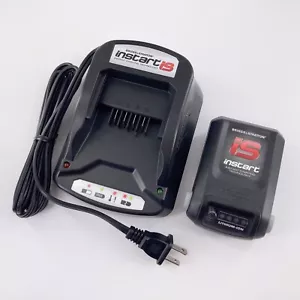Batería o cargador nuevo para Briggs & Stratton Instart 593559 593561 597187 675iS - Imagen 1 de 7