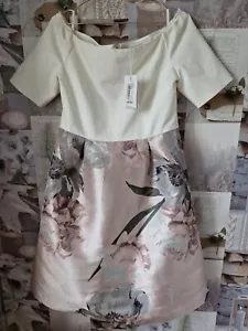 Ted Baker Cathiey Woodland off Shoulder Jacquard Dress Size 4 UK 14 BNWT - Picture 1 of 9