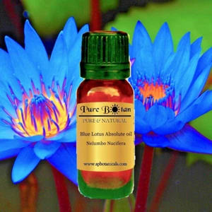 5 ml Blue Lotus Absolute Essential Oil - 100% PURE & NATURAL - Glass Bottle - Picture 1 of 1