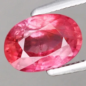 1.63ct 7.78x5.57mm Ovalado Natural Calefacción Padparadscha Color Zafiro, Madagascar - Imagen 1 de 4