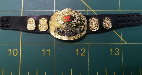 WWE Elite Smoking Skull Title Belt for Stone Cold Steve Austin Wrestling Figure Cover
