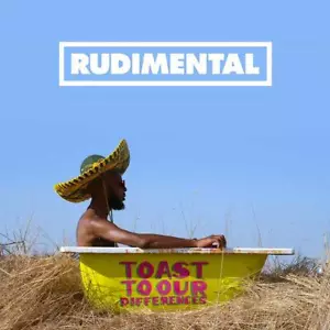RUDIMENTAL - TOAST TO OUR DIFFERENCES 2 VINYL LP NEW - Picture 1 of 2