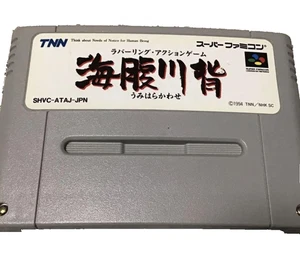 Cartucho Nintendo Super Famicom Umihara Kawase solo SFC Snes de Japón Envío gratuito - Imagen 1 de 3