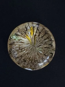 Art Class Yellow Floral Paper Weight 2” Flaw - Picture 1 of 6