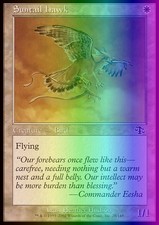 Magic the Gathering MTG Suntail Hawk (28) Judgment   LP FOIL