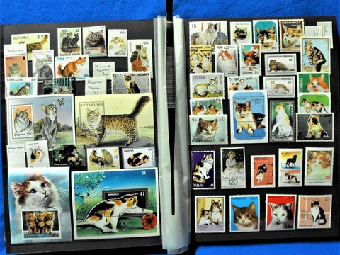 Cats of The World Stamp Collection Cat Feline Breeds Dogs Topical Album 800+ MNH Cover