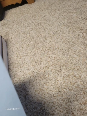 Pacific Prism #127 1999 Barry Bonds Foto 1 de 2