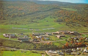Tarjeta postal NY 1964 Delhi State University College vista aérea DT-14 N45 - Imagen 1 de 2