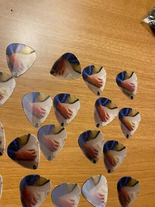 PICKBOY HOLOGRAM GUITAR STRUM PICK 6-PICK PACK - Picture 1 of 4