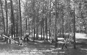 H1332 Nevis, postfrisch ECHTFOTO POSTKARTE , KRÄHENFLÜGELSEE - Bild 1 von 2