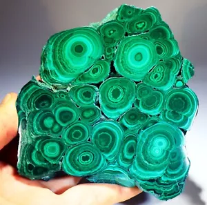 1 lb 5.6 oz 4.5" Top Quality Polished Bull's Eye Malachite Slice, Congo! M717 - Picture 1 of 5