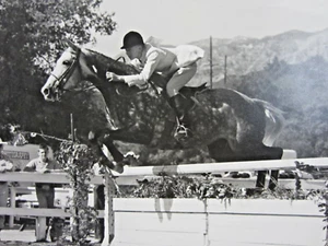 Vintage Reitsport Pferd springen Foto 12" englisches Show Reitkriterium 1950er - Bild 1 von 5