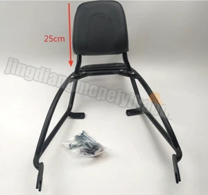 Backrest Sissy Bar Luggage Rack Pad for Harley Davidson Street Rod XG750A 17-20 - Picture 1 of 6