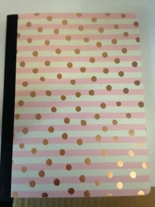 Composition Notebook College Ruled Pastel Stripe Pink - greenroom - Picture 1 of 3