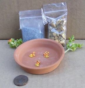Do It Yourself Pond Kit With Fish Tumdee 1:12 Scale Dolls House Accessory B - Picture 1 of 3