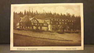 Brückenberg (Karpacz Górny) , Pension Mandel, 1925 gelaufen