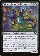 Magic the Gathering (mtg): STX: Witherbloom Pledgemage - Foil