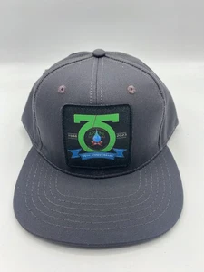 Gorra AFSCME 75 Aniversario Logo Gris Adulto Ajustable Snapback Talla Única - Imagen 1 de 6
