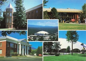 Northern Arizona University, Flagstaff,  Arizona Vintage 4x6 Chrome PC - Picture 1 of 2