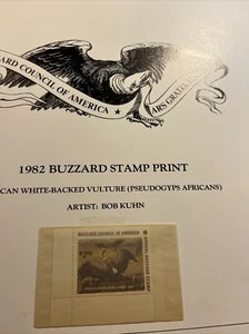 1982, Buzzard Print, Bob Kuhn, African White Vulture,599/777, Mint Stamp No Damage - Bild 1 von 12