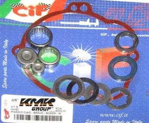 A2062 KIT REVISIONE MOZZO RUOTA POSTERIORE PIAGGIO SI CIAO BRAVO SENZA VARIATORE - Foto 1 di 1