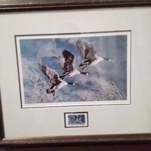 Signed Iowa Migratory Waterfowl Stamp And Print Framed 1998 304/600 ED WARDS - Picture 1 of 7