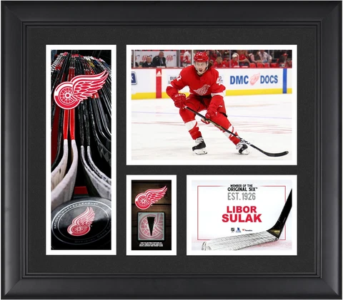 Libor Sulak Detroit Red Wings Frmd 15" x 17" Player Collage & Piece of GU Puck Cover
