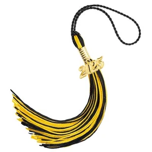 2025 Tassel Graduation Graduation Tassel 2025 Graduation Cap Tassel 2025 Grad... - Picture 1 of 7