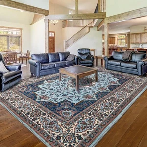 Area Rugs for Living Room 5x7 Boho Rug with Non-Slip Backing Machine Washable... - Picture 1 of 9