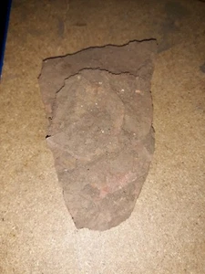 Geological Rock Sample Stockingford Shale Mineral Geology  - Foto 1 di 3