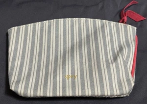 Ipsy Glam Bag Blue And White Stripe - Picture 1 of 2