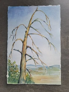 Original Aquarell - Solitäre Winterbaumlandschaft von Ann Weigel (11" x 7,5") - Bild 1 von 2