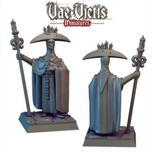 Swords For Hire: Skull Knight Vae Victis Miniatures, D&D, Wargames - Picture 1 of 1