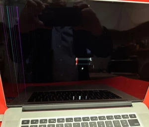 Apple MacBook Pro A1398 2014 Core i7 16 GB RAM LCD Líneas - Imagen 1 de 10