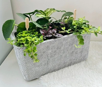 Concrete Flower Pot LARGE Trough Home Decor Modern Plant Pots Indoor Garden - Image 1 of 3
