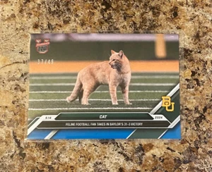 CAT /49 Blue Variant 2024 Bowman U Now #14 Baylor University Topps Football - Picture 1 of 2