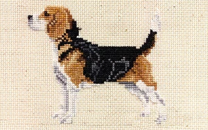Beagle Full Body Counted Cross Stitch Kit by Pegasus Originals - Picture 1 of 1