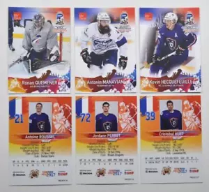 Tarjeta de jugador 2017 BY cards IIHF World Championship Team France Elige una tarjeta - Imagen 1 de 28