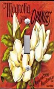 Lichtschalterplatte & Steckdosenabdeckungen VINTAGE OBSTKISTE ~ MAGNOLIE MARKE ORANGEN - Bild 1 von 26