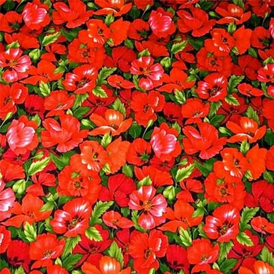 Poppies! Bright Red Life-Sized Packed Flowers, FabriQuilt Cotton BTHY or BTY - Image 1 of 4