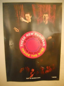DIESE NEUEN PURITANS INSIDE THE ROSE SELTEN 2019 PROMO POSTER 20" x 27" ca. - Bild 1 von 1