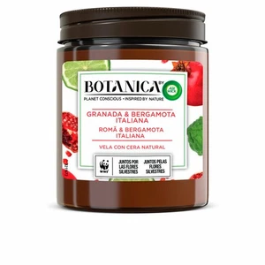 Duftkerze Air Wick Botanica Granatapfel Bergamotte 205g - Bild 1 von 1