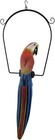 25" WOOD RED PARROT HANGING PERCH CARVING PAINTING HEAD ART AFRICAN TROPICAL