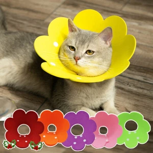 Flower Shaped Cat Recovery Elizabethan Collar Wound Healing Protective Cone - Picture 1 of 18