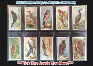 OGDEN'S BRITISH BIRDS (CUT-OUTS) 1923 (G/F) ***PICK THE CARDS YOU NEED*** - Picture 1 of 11